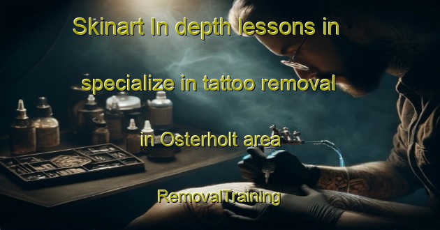 Skinart In-depth lessons in specialize in tattoo removal in Osterholt area | RemovalTraining | RemovalClasses | SkinartTraining-Norway