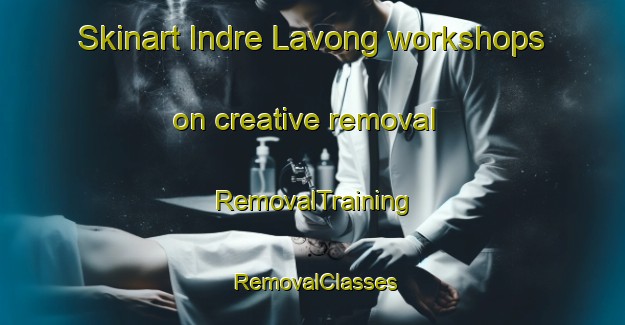 Skinart Indre Lavong workshops on creative removal | RemovalTraining | RemovalClasses | SkinartTraining-Norway