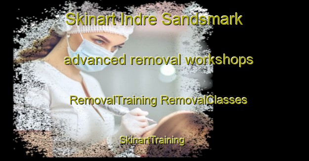 Skinart Indre Sandsmark advanced removal workshops | #RemovalTraining #RemovalClasses #SkinartTraining-Norway