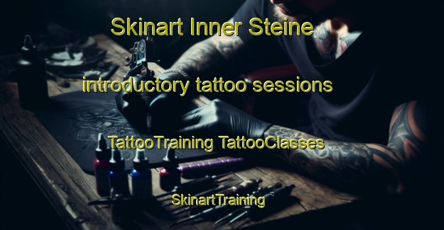 Skinart Inner Steine introductory tattoo sessions | #TattooTraining #TattooClasses #SkinartTraining-Norway