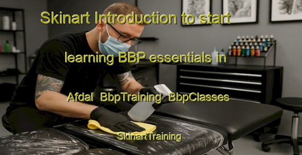 Skinart Introduction to start learning BBP essentials in Afdal | BbpTraining | BbpClasses | SkinartTraining-Norway
