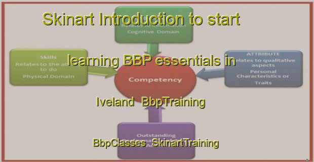 Skinart Introduction to start learning BBP essentials in Iveland | BbpTraining | BbpClasses | SkinartTraining-Norway