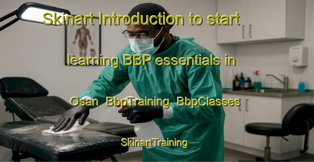 Skinart Introduction to start learning BBP essentials in Osan | BbpTraining | BbpClasses | SkinartTraining-Norway