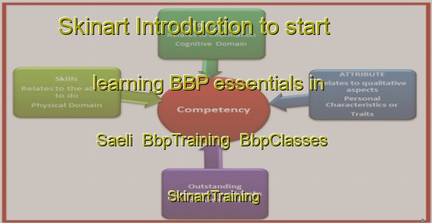Skinart Introduction to start learning BBP essentials in Saeli | BbpTraining | BbpClasses | SkinartTraining-Norway