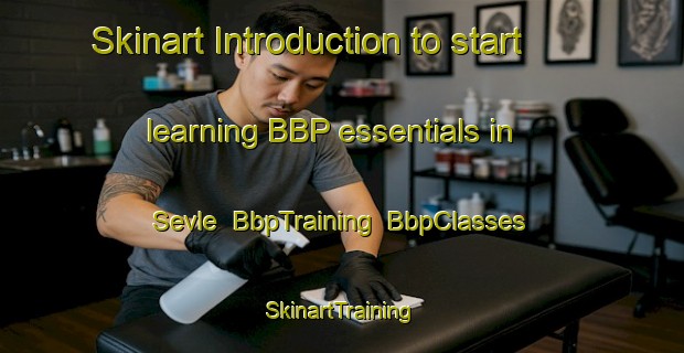 Skinart Introduction to start learning BBP essentials in Sevle | BbpTraining | BbpClasses | SkinartTraining-Norway