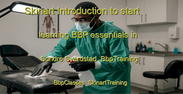 Skinart Introduction to start learning BBP essentials in Sondre Sverdstad | BbpTraining | BbpClasses | SkinartTraining-Norway