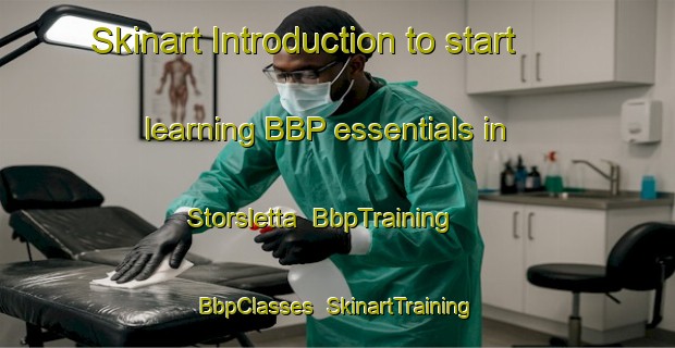 Skinart Introduction to start learning BBP essentials in Storsletta | BbpTraining | BbpClasses | SkinartTraining-Norway