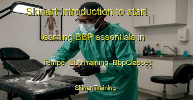 Skinart Introduction to start learning BBP essentials in Tempe | BbpTraining | BbpClasses | SkinartTraining-Norway
