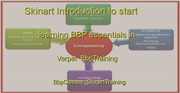 Skinart Introduction to start learning BBP essentials in Verpet | BbpTraining | BbpClasses | SkinartTraining-Norway