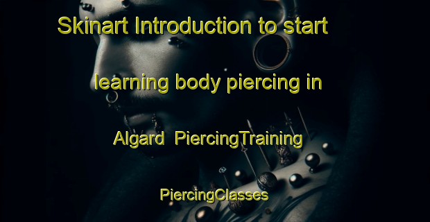 Skinart Introduction to start learning body piercing in Algard | #PiercingTraining #PiercingClasses #SkinartTraining-Norway