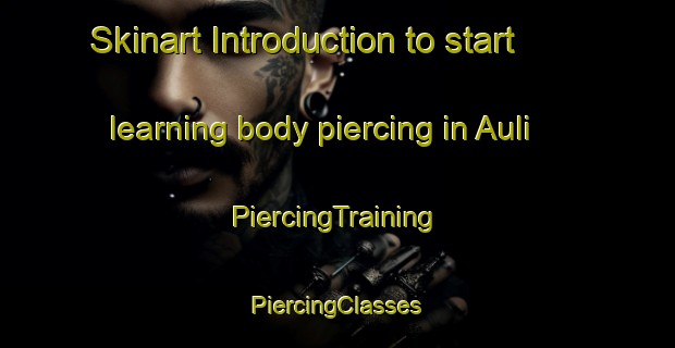 Skinart Introduction to start learning body piercing in Auli | #PiercingTraining #PiercingClasses #SkinartTraining-Norway