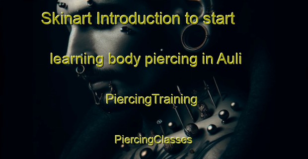 Skinart Introduction to start learning body piercing in Auli | #PiercingTraining #PiercingClasses #SkinartTraining-Norway