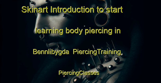 Skinart Introduction to start learning body piercing in Bennlibygda | PiercingTraining | PiercingClasses | SkinartTraining-Norway