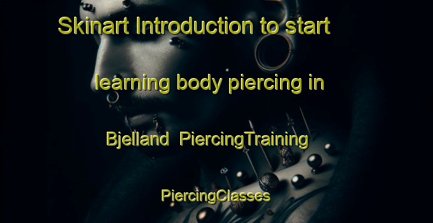 Skinart Introduction to start learning body piercing in Bjelland | #PiercingTraining #PiercingClasses #SkinartTraining-Norway