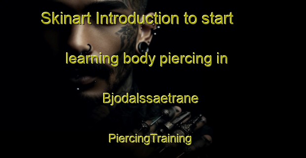 Skinart Introduction to start learning body piercing in Bjodalssaetrane | #PiercingTraining #PiercingClasses #SkinartTraining-Norway