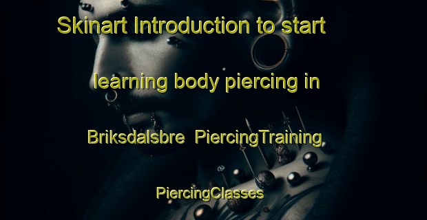 Skinart Introduction to start learning body piercing in Briksdalsbre | PiercingTraining | PiercingClasses | SkinartTraining-Norway