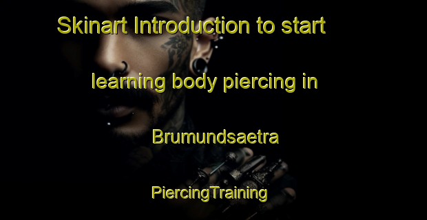 Skinart Introduction to start learning body piercing in Brumundsaetra | #PiercingTraining #PiercingClasses #SkinartTraining-Norway