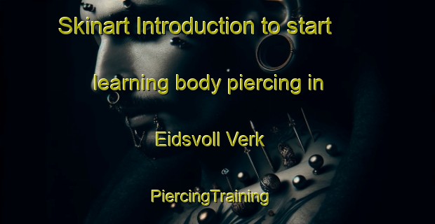 Skinart Introduction to start learning body piercing in Eidsvoll Verk | PiercingTraining | PiercingClasses | SkinartTraining-Norway