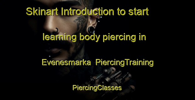 Skinart Introduction to start learning body piercing in Evenesmarka | #PiercingTraining #PiercingClasses #SkinartTraining-Norway