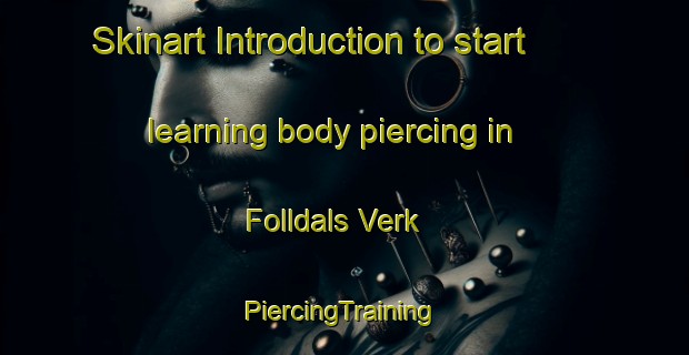 Skinart Introduction to start learning body piercing in Folldals Verk | #PiercingTraining #PiercingClasses #SkinartTraining-Norway