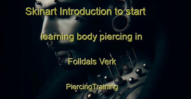 Skinart Introduction to start learning body piercing in Folldals Verk | PiercingTraining | PiercingClasses | SkinartTraining-Norway