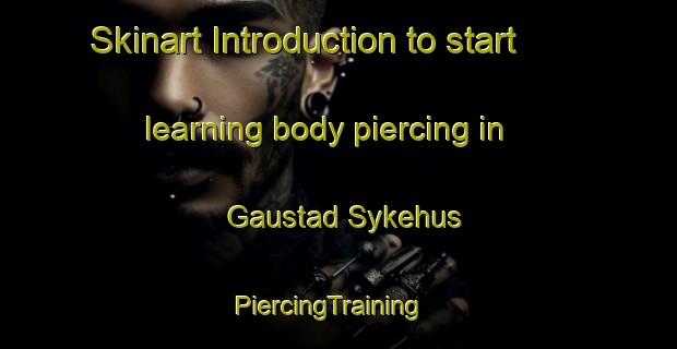 Skinart Introduction to start learning body piercing in Gaustad Sykehus | PiercingTraining | PiercingClasses | SkinartTraining-Norway
