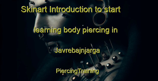 Skinart Introduction to start learning body piercing in Javrebajnjarga | #PiercingTraining #PiercingClasses #SkinartTraining-Norway