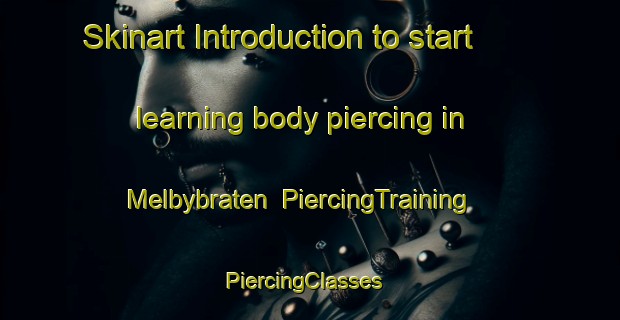 Skinart Introduction to start learning body piercing in Melbybraten | PiercingTraining | PiercingClasses | SkinartTraining-Norway