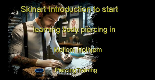 Skinart Introduction to start learning body piercing in Mellom Holhjem | #PiercingTraining #PiercingClasses #SkinartTraining-Norway