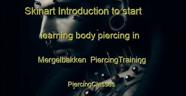 Skinart Introduction to start learning body piercing in Mergelbakken | PiercingTraining | PiercingClasses | SkinartTraining-Norway