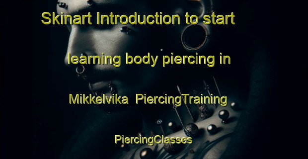 Skinart Introduction to start learning body piercing in Mikkelvika | #PiercingTraining #PiercingClasses #SkinartTraining-Norway