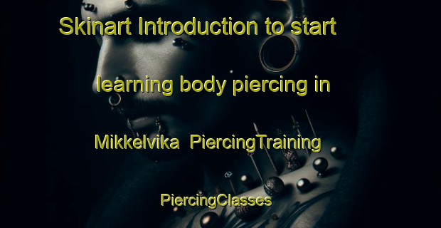 Skinart Introduction to start learning body piercing in Mikkelvika | PiercingTraining | PiercingClasses | SkinartTraining-Norway