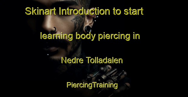 Skinart Introduction to start learning body piercing in Nedre Tolladalen | #PiercingTraining #PiercingClasses #SkinartTraining-Norway