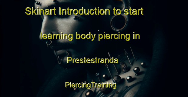 Skinart Introduction to start learning body piercing in Prestestranda | PiercingTraining | PiercingClasses | SkinartTraining-Norway