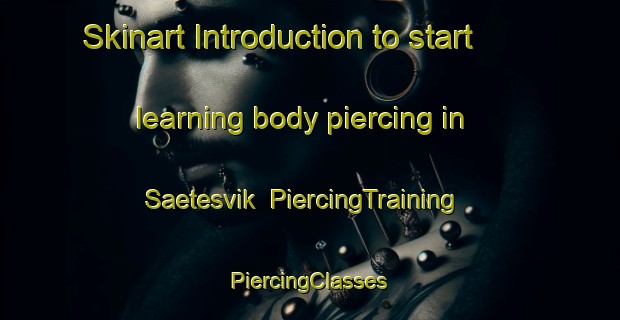 Skinart Introduction to start learning body piercing in Saetesvik | #PiercingTraining #PiercingClasses #SkinartTraining-Norway