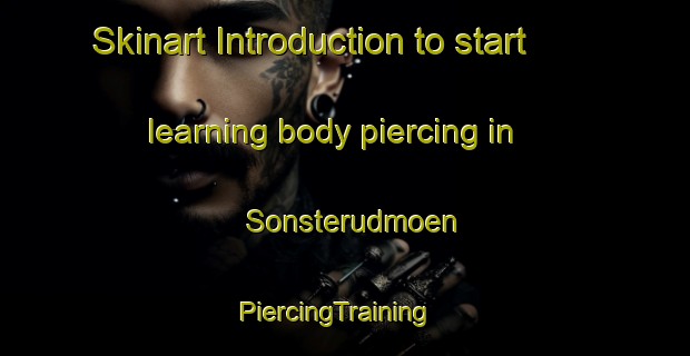 Skinart Introduction to start learning body piercing in Sonsterudmoen | PiercingTraining | PiercingClasses | SkinartTraining-Norway