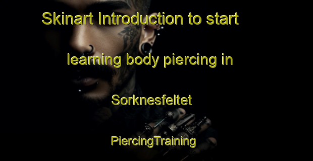 Skinart Introduction to start learning body piercing in Sorknesfeltet | #PiercingTraining #PiercingClasses #SkinartTraining-Norway