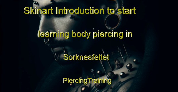 Skinart Introduction to start learning body piercing in Sorknesfeltet | #PiercingTraining #PiercingClasses #SkinartTraining-Norway