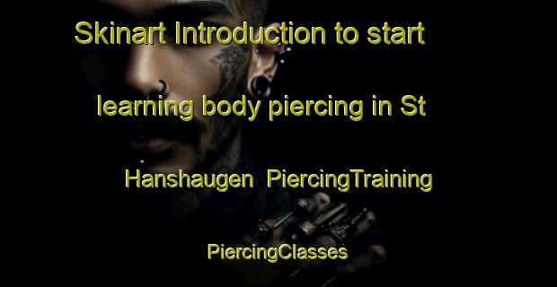 Skinart Introduction to start learning body piercing in St  Hanshaugen | #PiercingTraining #PiercingClasses #SkinartTraining-Norway