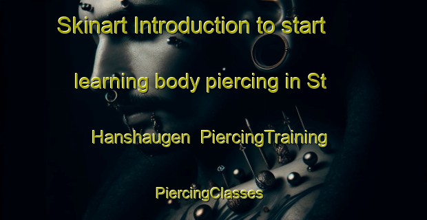 Skinart Introduction to start learning body piercing in St  Hanshaugen | PiercingTraining | PiercingClasses | SkinartTraining-Norway