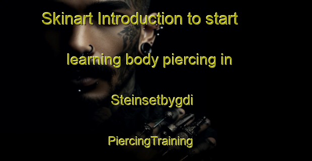 Skinart Introduction to start learning body piercing in Steinsetbygdi | PiercingTraining | PiercingClasses | SkinartTraining-Norway