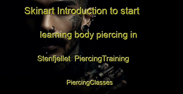Skinart Introduction to start learning body piercing in Stenfjellet | PiercingTraining | PiercingClasses | SkinartTraining-Norway