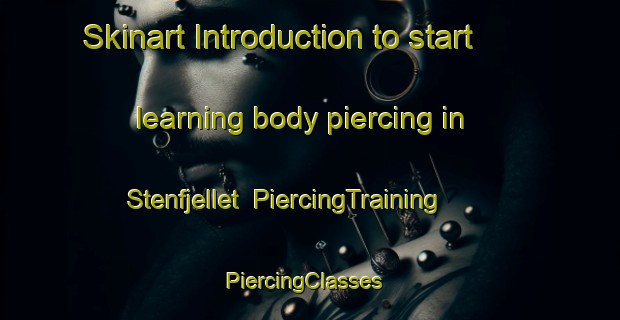 Skinart Introduction to start learning body piercing in Stenfjellet | PiercingTraining | PiercingClasses | SkinartTraining-Norway
