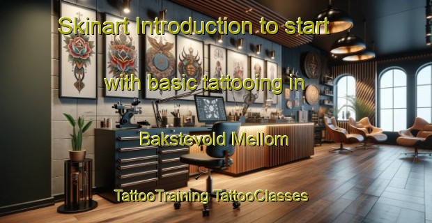 Skinart Introduction to start with basic tattooing in Bakstevold Mellom | #TattooTraining #TattooClasses #SkinartTraining-Norway