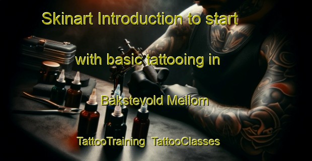 Skinart Introduction to start with basic tattooing in Bakstevold Mellom | TattooTraining | TattooClasses | SkinartTraining-Norway