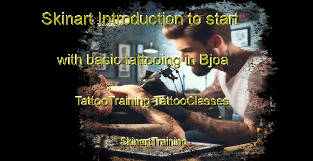 Skinart Introduction to start with basic tattooing in Bjoa | #TattooTraining #TattooClasses #SkinartTraining-Norway