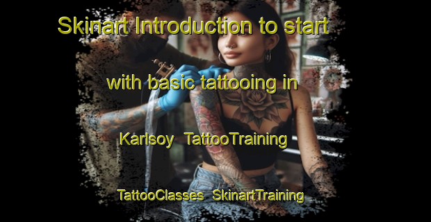 Skinart Introduction to start with basic tattooing in Karlsoy | TattooTraining | TattooClasses | SkinartTraining-Norway