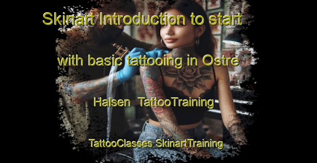 Skinart Introduction to start with basic tattooing in Ostre Halsen | #TattooTraining #TattooClasses #SkinartTraining-Norway