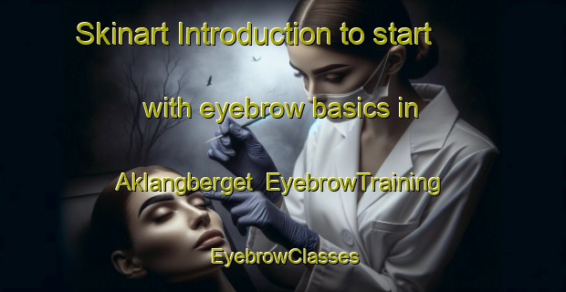 Skinart Introduction to start with eyebrow basics in Aklangberget | EyebrowTraining | EyebrowClasses | SkinartTraining-Norway