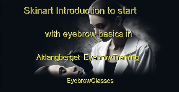 Skinart Introduction to start with eyebrow basics in Aklangberget | EyebrowTraining | EyebrowClasses | SkinartTraining-Norway